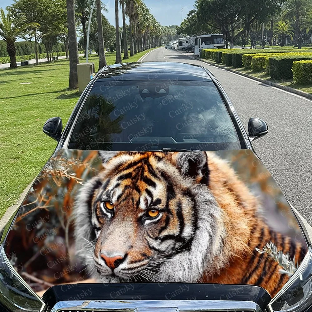Tiger Lie Prone Car Hood Sticker PVC Self Waterproof Stick, Striking Auto Exterior Accessories Decor Protect Gift for Car Lover