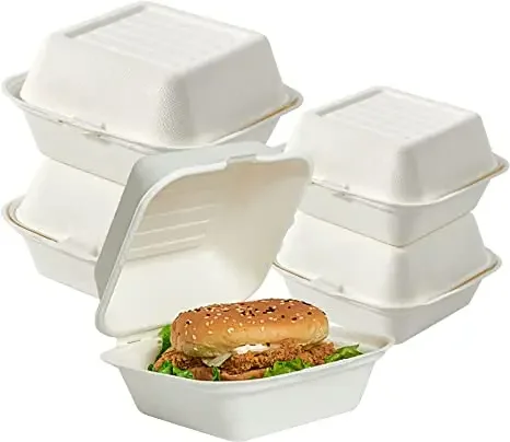 Biodegradável cana-de-açúcar bagasse clamshell 9*6 polegadas 2 compartimentos 100% compostatável lancheira para levar 100 peças