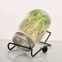 Sprouting Jars with Screen Lids Sprouts Growing Kit Wide Mouth Mason Jar Seed Germination Kit Indoor Sprouter Set