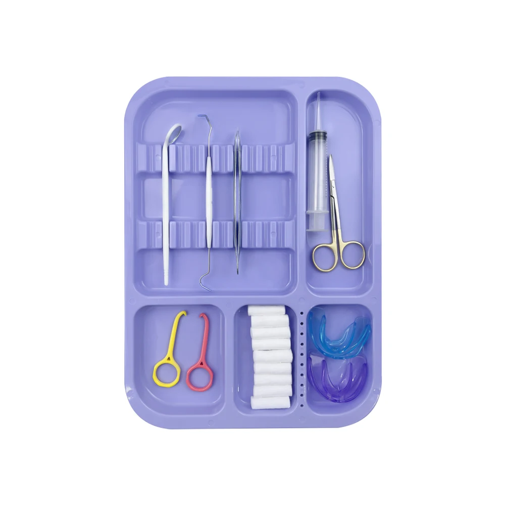 Autoclavable Instrument Colorful Tray Dental Split Management Trays Dentist Placement Box Dentist Mouth Mirror Tweezer Storage