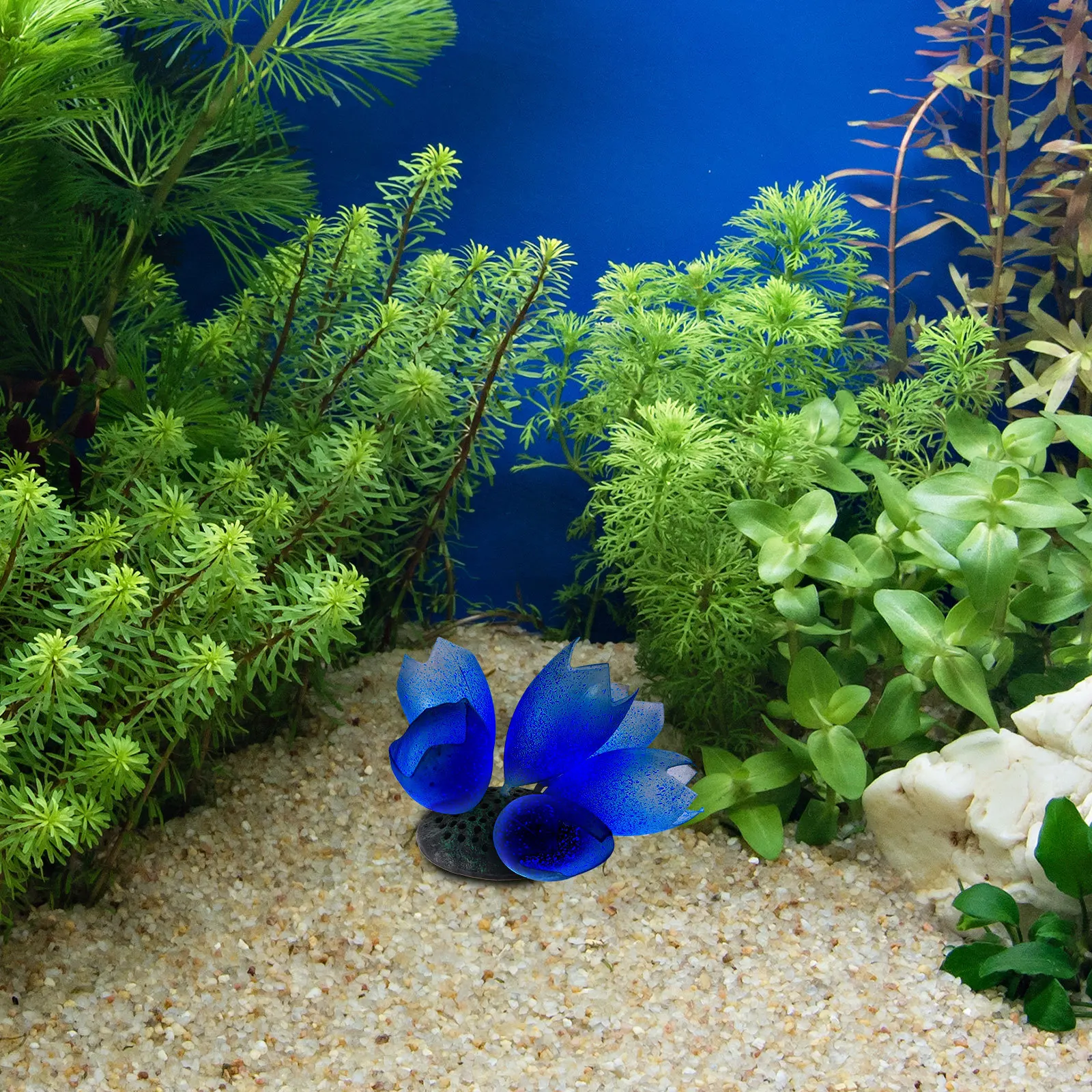 

Night Glow Coral Ornament Aquarium Decor Artificial Silicone Coral Fish Tank Decoration Fake Plant Landscape Craft