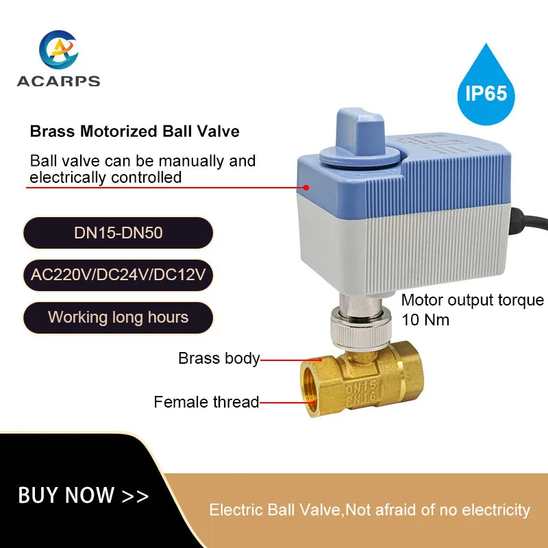 Brass Motorized Ball Valve With Manual Switch Function 2-way Waterproof Grade IP65 10Nm Electric Ball Valve AC/DC 12V/24V/220V