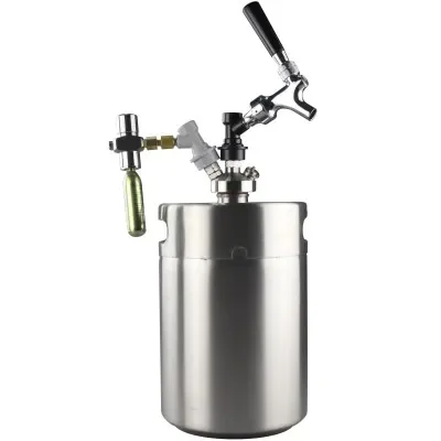 

Hot selling home brewing tap and co2 regulated 5 liters draft beer system