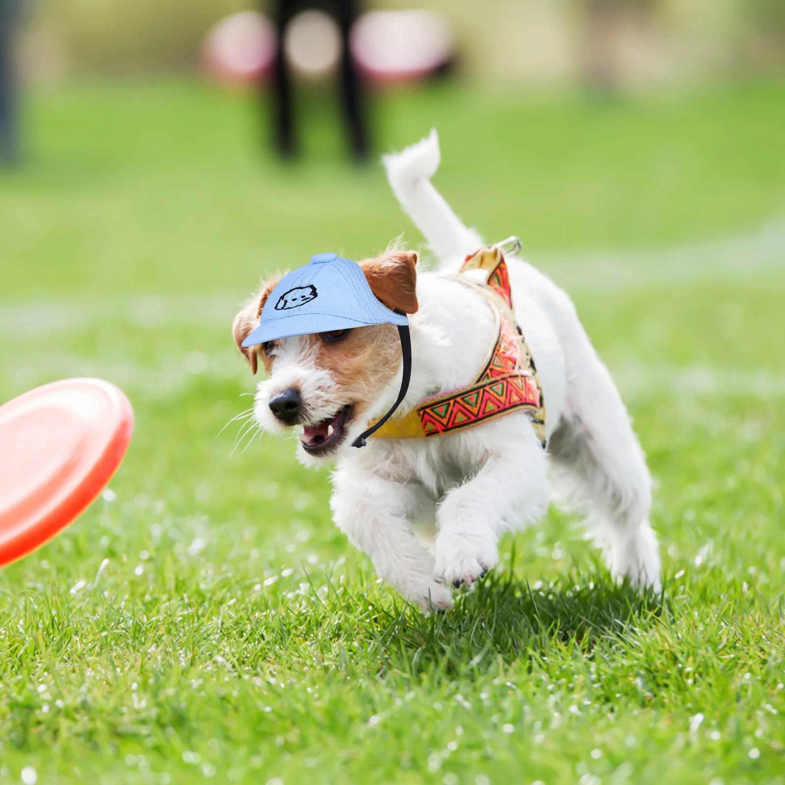 

Pet Sun Hat Dog Baseball Cap Adjustable Cotton Comfortable Outdoor Sun Cap Puppy Summer Hat for Small Dogs Dog Hats for Decor