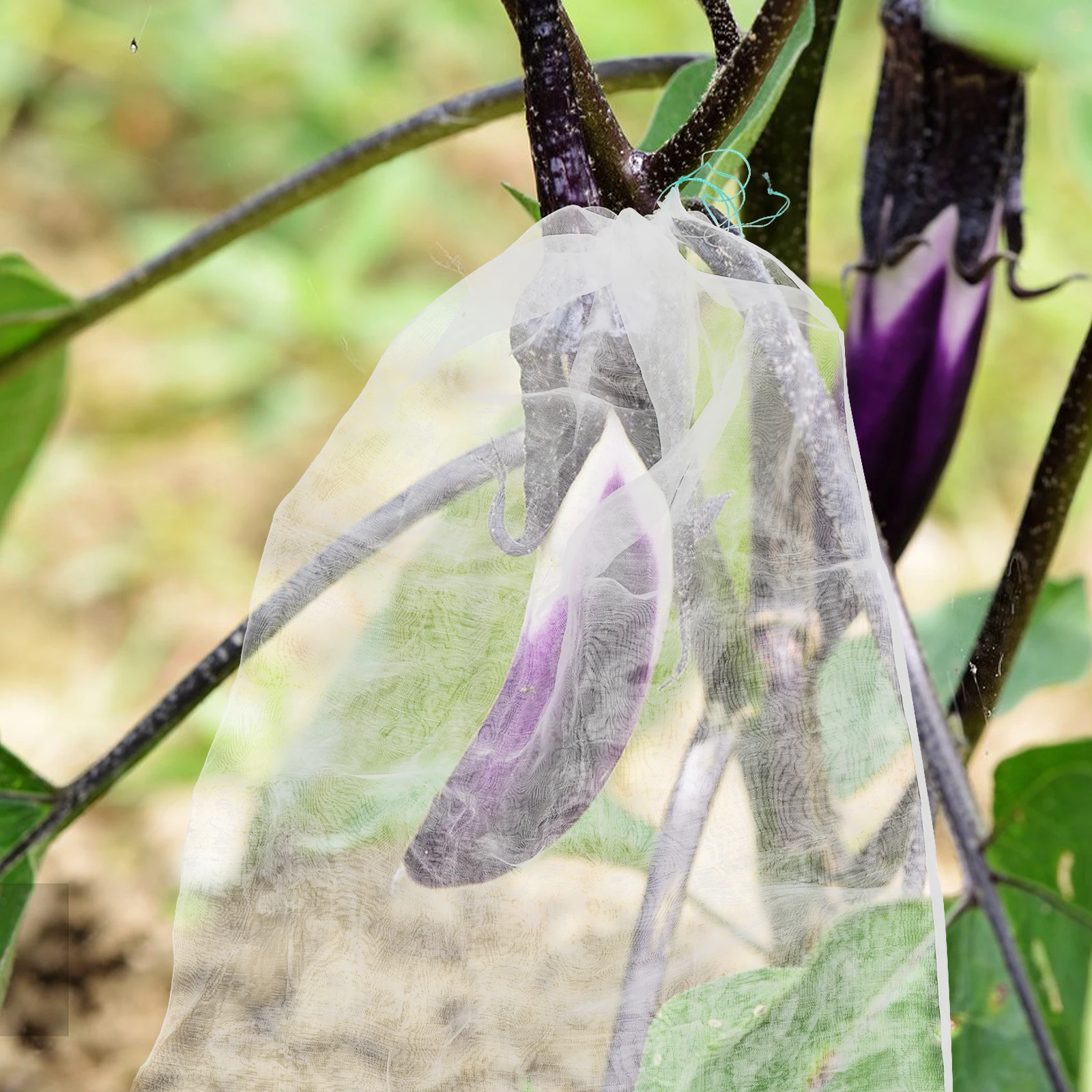 

2 Pcs Breathable Mesh Transport Bag Bee Keeping Supplies All Supply Beehive Carry Equipment Drawstring Bags Boxed