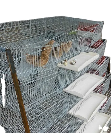 

CE approved environmental 600 quail cage and water system making factory of metal wire bird cage HJ-QCX600