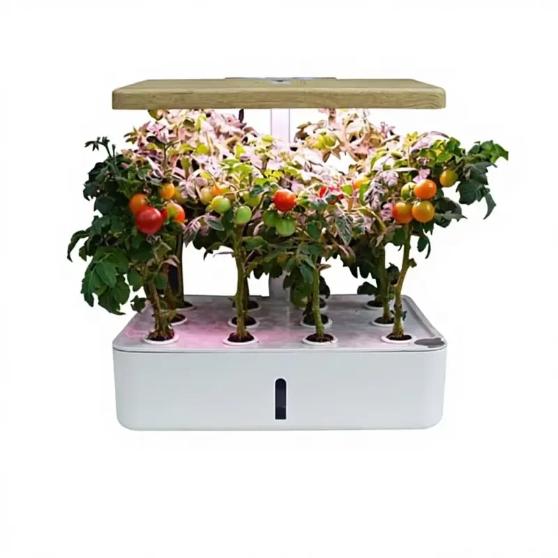 for  Horticulture Indoor Soilless Cultivation Hydroponic Vegetables Smart Plant Seedling Box Nordic Design Small Flower Pot