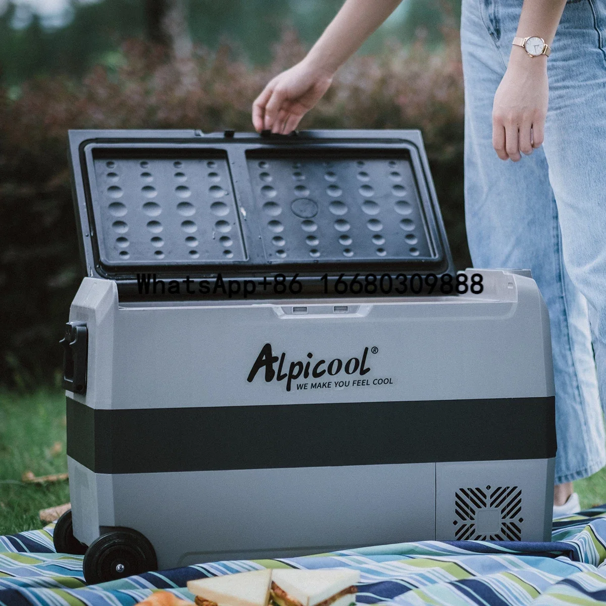 Alpicool T50 Dual Zone Cooler Box 12V AC DC Dual Use Freezer Electric Compressor Fridge Portable Camping Car Refrigerator