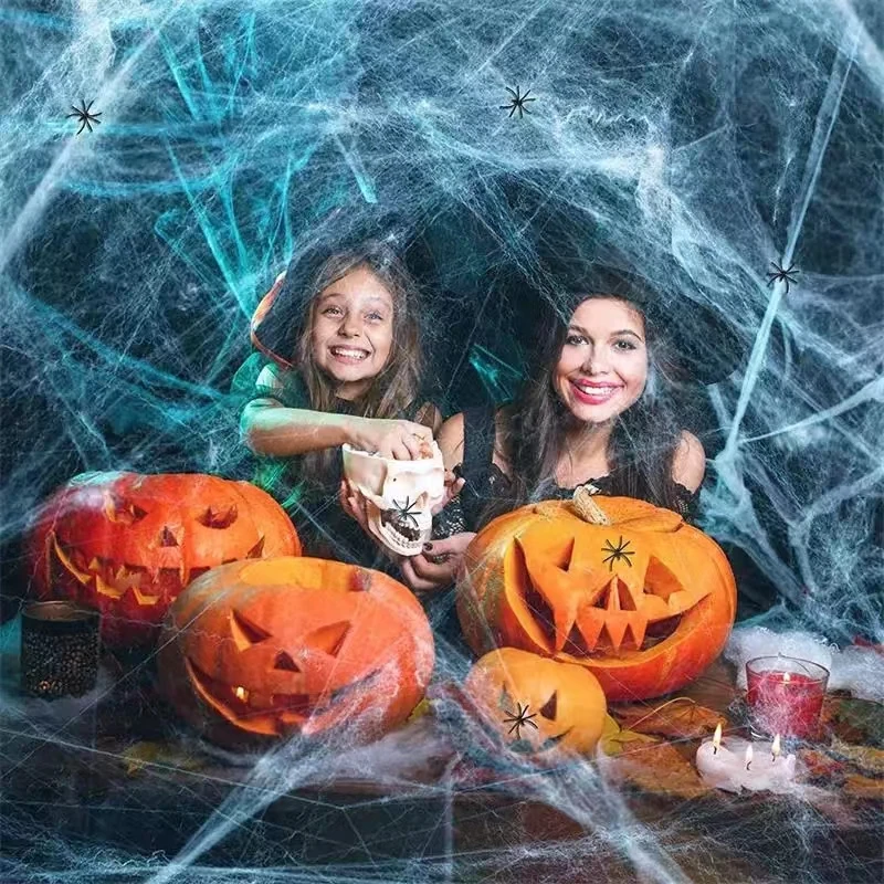 Spinnenweb – Der perfekte Horror-Effect für Ihre Halloween-Dekoration: Alles, was Sie wissen müssen
