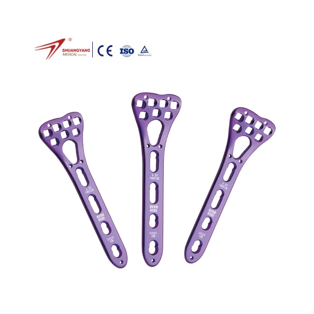 Medical Implants & Interventional Materials 3.0 Serie Multi-Axial Radius Locking Plate And Screw Distal Radius Locking Plate Set
