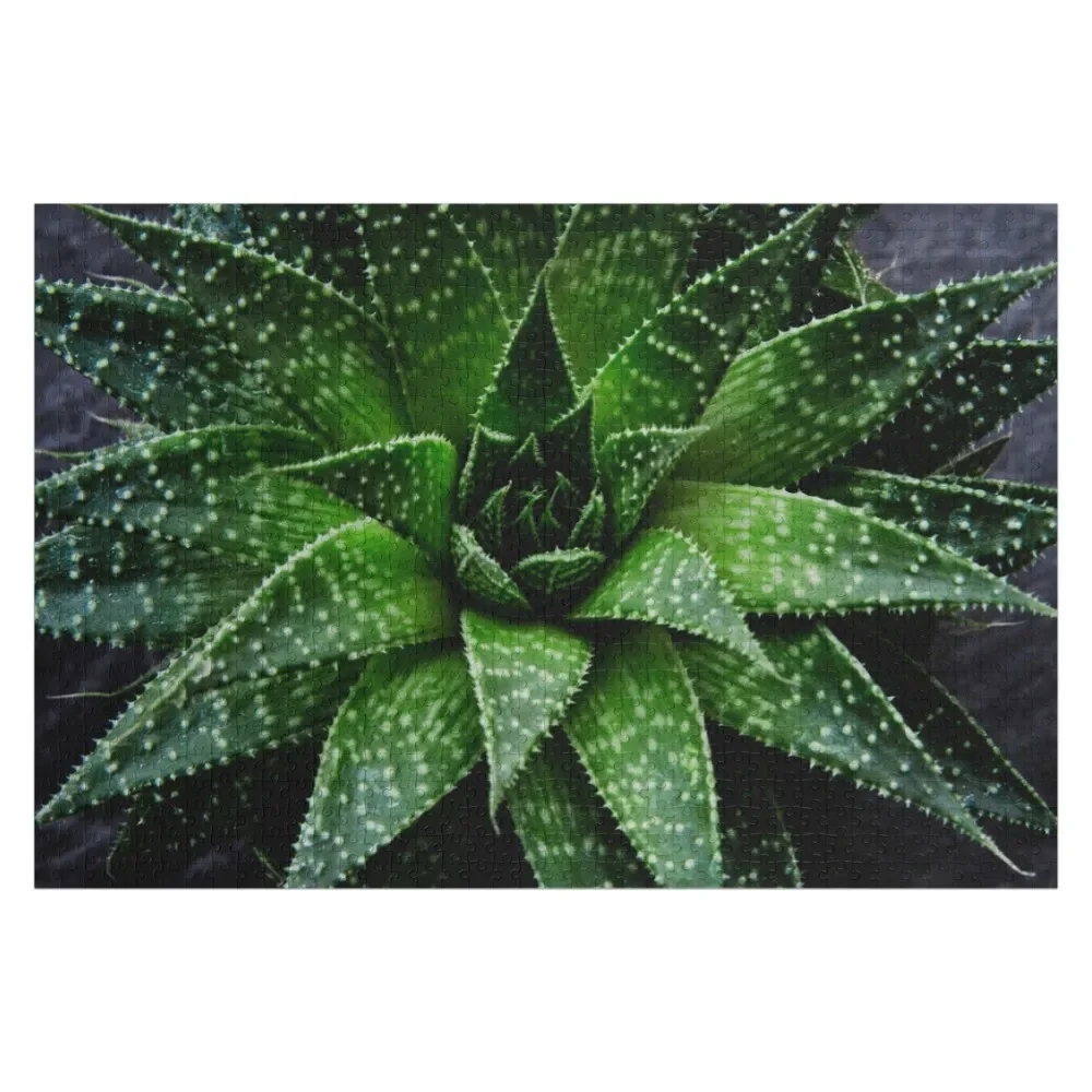 Succulent. Haworthia fasciata Jigsaw Puzzle Wooden Animal Custom Wood Custom Child Jigsaw Custom Puzzle