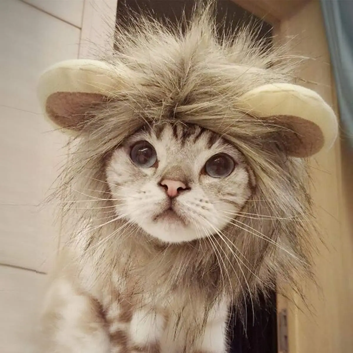 

TONG Cat Lion Costume Hat Cosplay Dress Up Lion Mane for Cat Puppy Lion Wig Halloween Christmas Lion Head Mane Hat for Cat