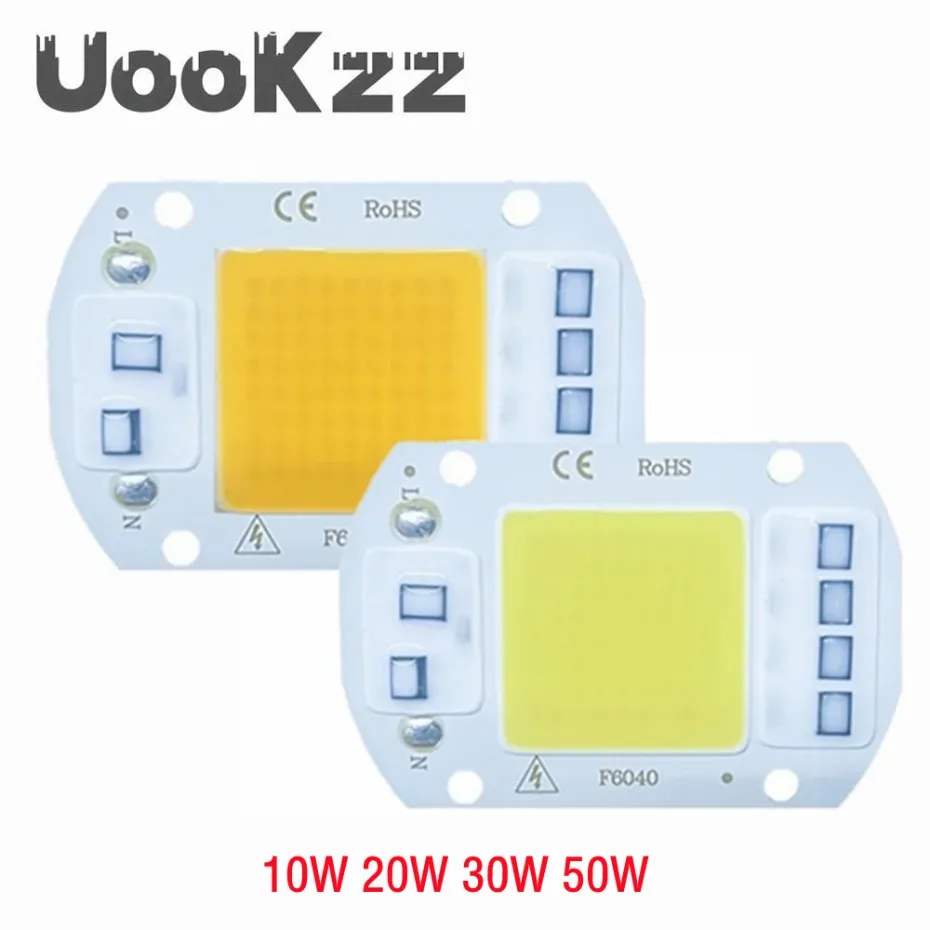 10W 20W 30W 50W LED COB Lamp Bead AC 220V 110V IP65 Smart IC No Need Driver DIY Flood light Led Bulb Spotlight Outdoor Chip Lamp