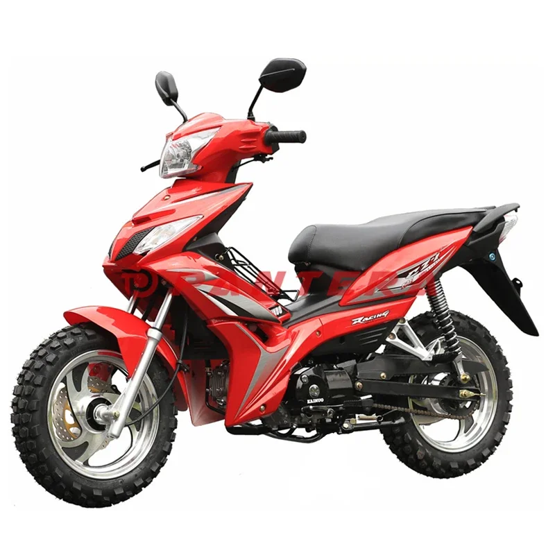 High Power Low Fuel Consumption 110cc Engine Cheap Motorcycle