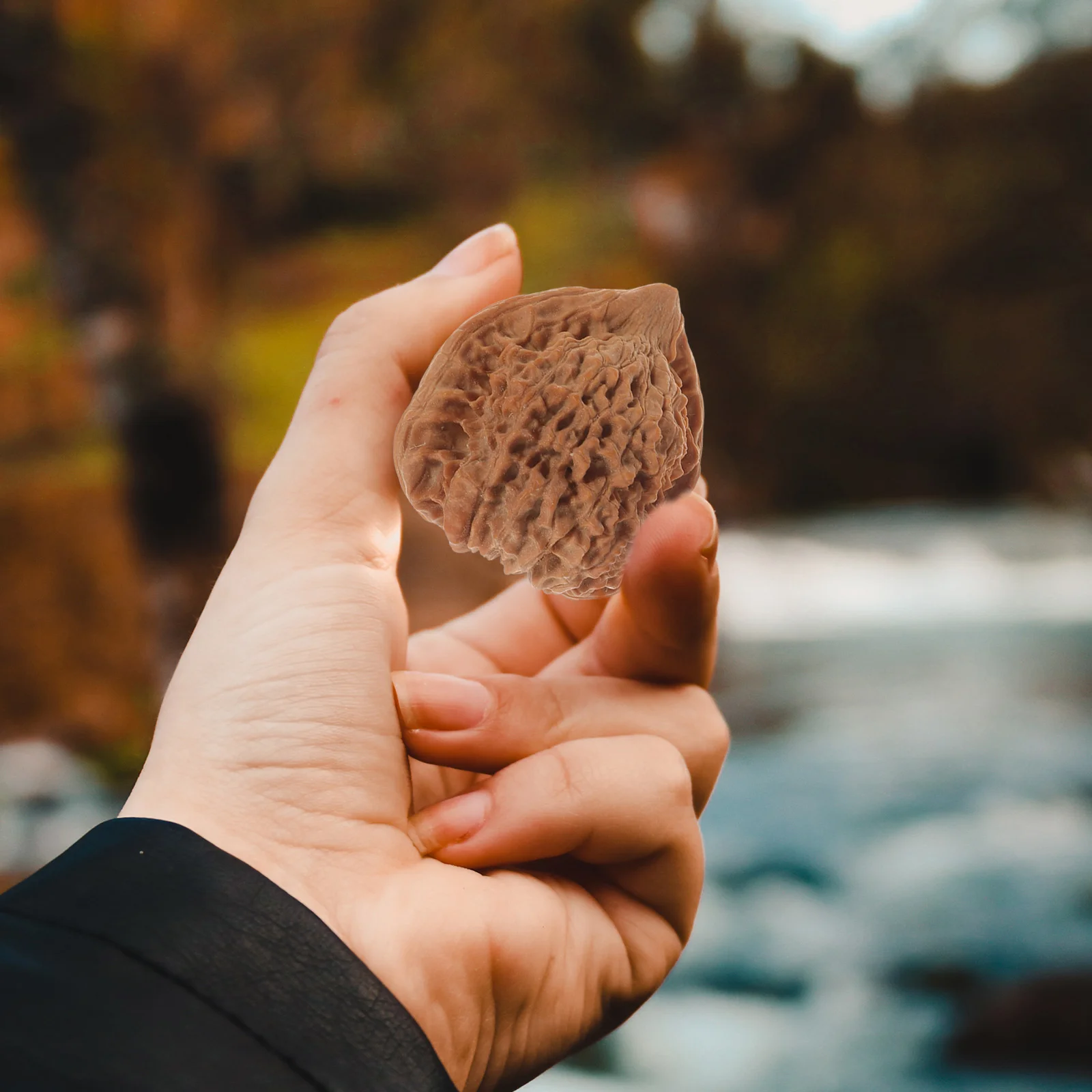 2 個ウォールナットフィットネスハンドプレイエクササイズボールレジャーツボメッセージ