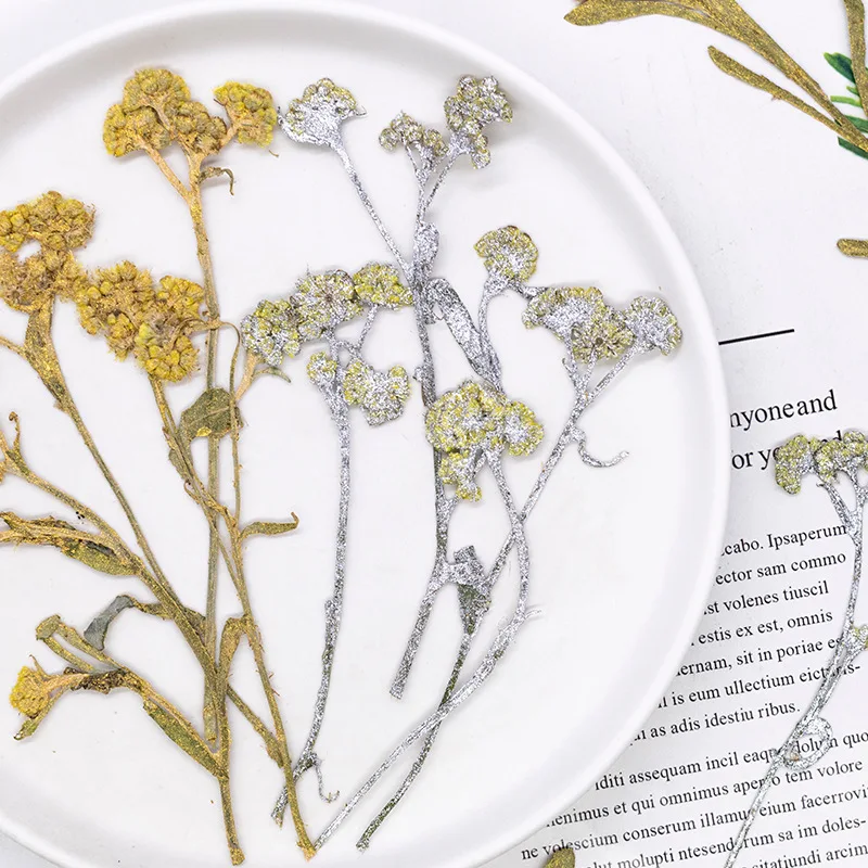 12 Stück, gefärbte gepresste Kreuzkresse-Blumen, getrocknete Pflanzen, DIY-Material für Harz, Lesezeichen, Scrapbooking, Kartenherstellung, Bastelzubehör – Detail 2