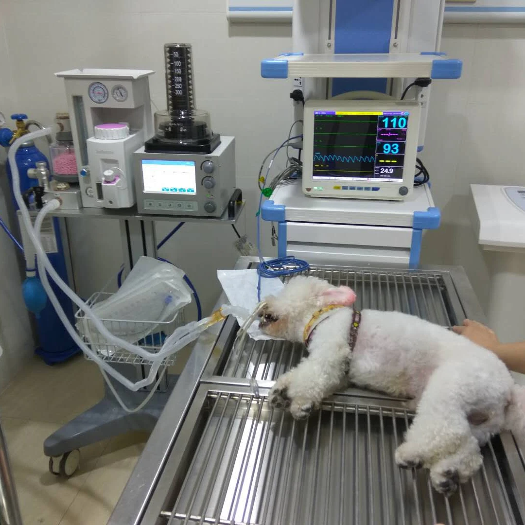 Light and portable Veterinary anesthesia machine Clinic Use Anesthesia Machine For Animal Medical Supplies Equipment