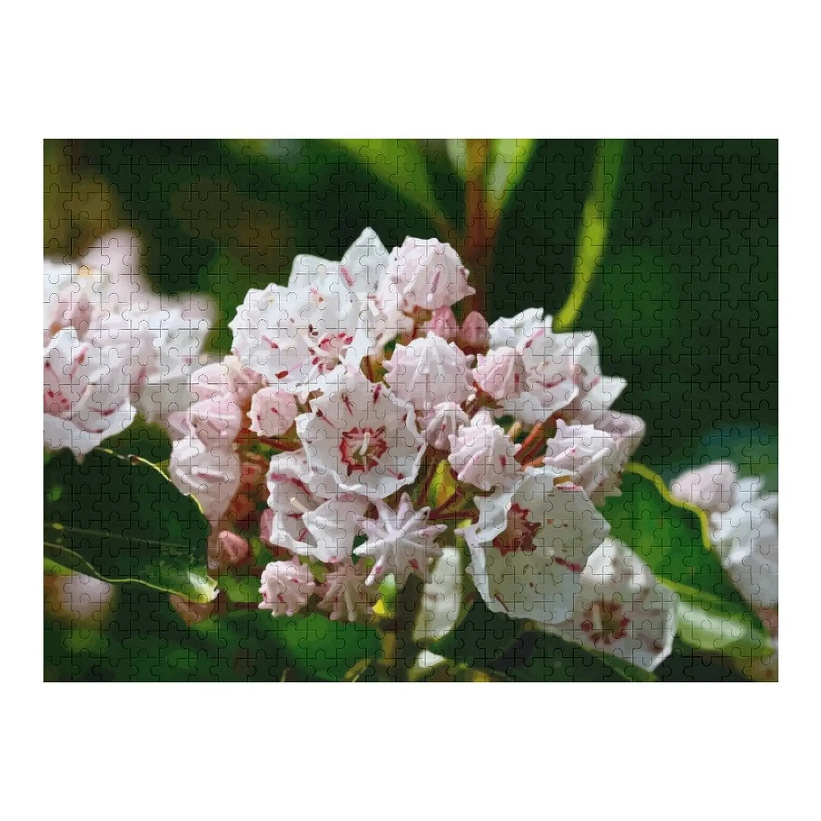 

Mountain Laurel Native Wildflower Jigsaw Puzzle Personalized Custom Child Gift Woods For Adults Wooden Boxes Puzzle