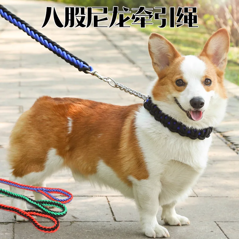 

Colored Braided Nylon Leash Pet Leash Large Dog Leash Pet Products