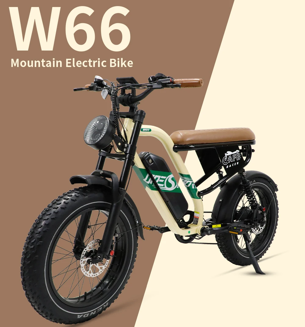 

STLF Customizable Retro Electric Bicycle Hybrid E-Bike 48v UK EU Warehouse Steel Road Dirt Ebike Mountain Fat Brushless Snow Bik