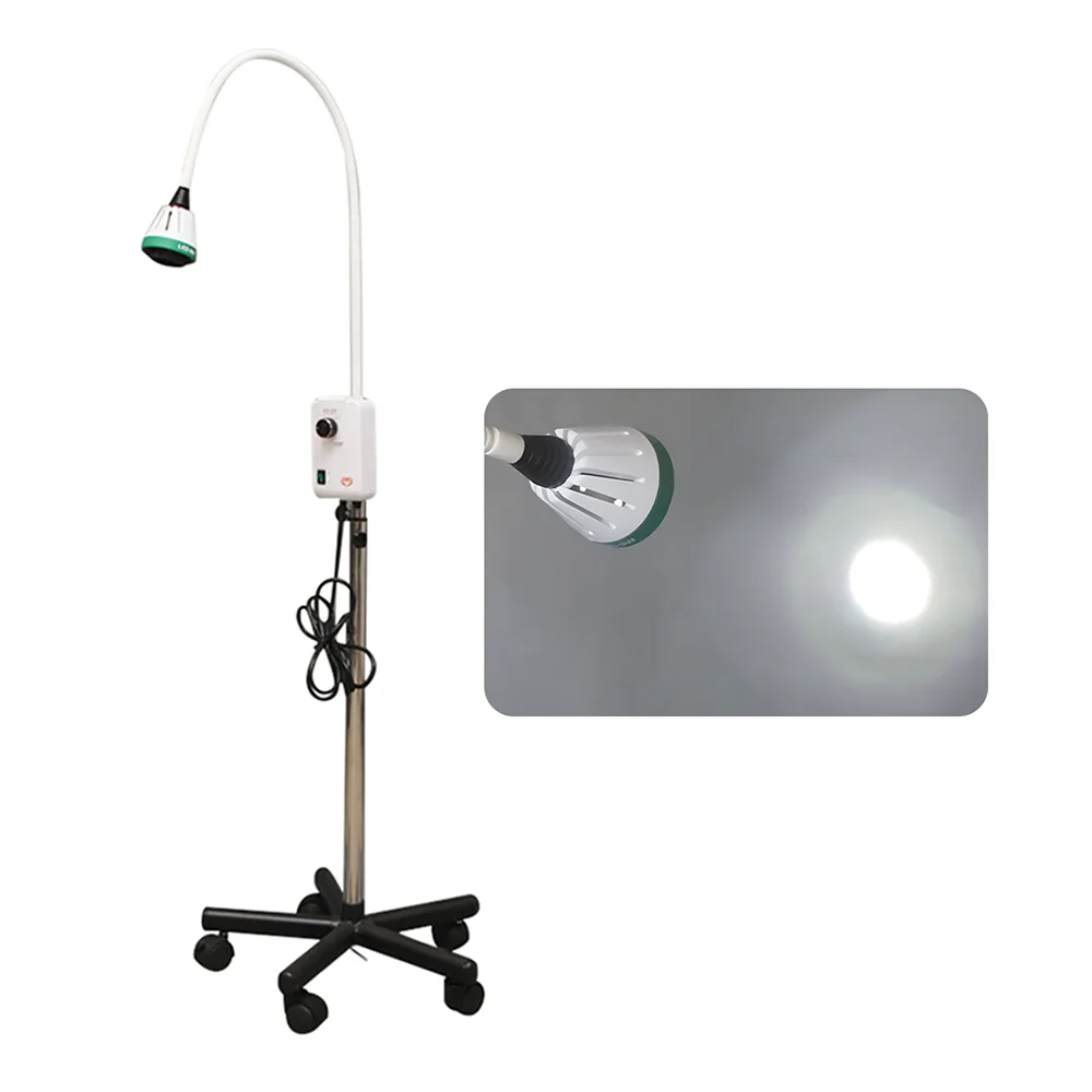 de ntal 9W LED Medical Examination Lamp Surgical Mobile Portable Floor Stand Cold Light Lamp Oral and Gynecological ENT Surgery