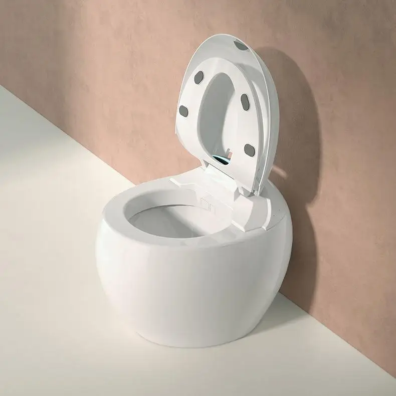 ri-Modern Toilet Floor-Mounted S-Trap/P-Trap Drainage Dual-Flush Remote Included Automatic Deodorization for Bathroom Sanitary*