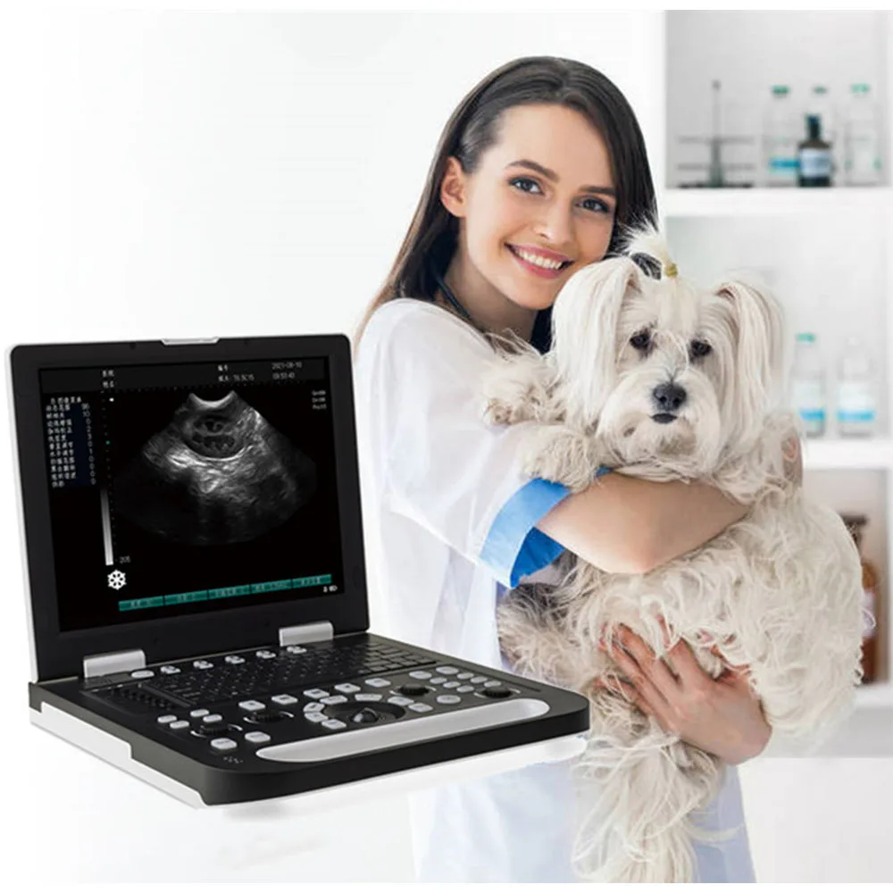 

RS-N50(with big cam) Fast Computing HD Imaging Direct Selling RS-N50 VET Full Digital Laptop Ultrasound System