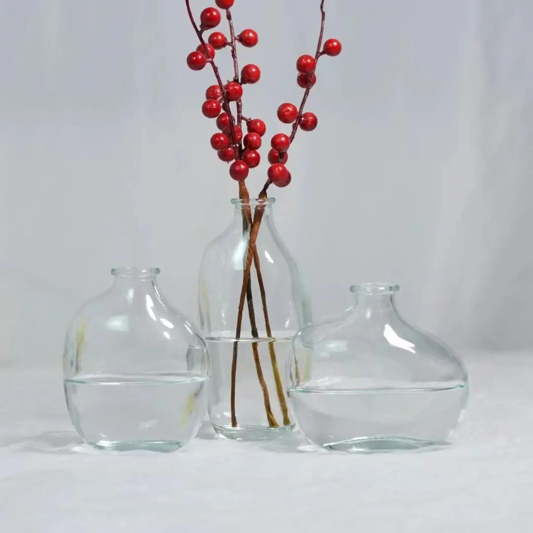 Japanese Zen Hammer Glass Vase New Big Belly Fashionable Clear Hydroponic Plants Creative Tea Table Desktop Decoration