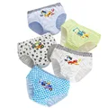 5 Pcs-OPP Pack