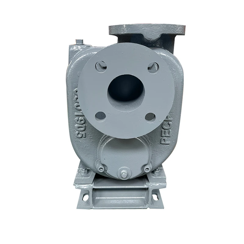 

Special 5hp Self-Priming Pump for Papermaking Sewage Pulp Circulation and Wastewater Treatment