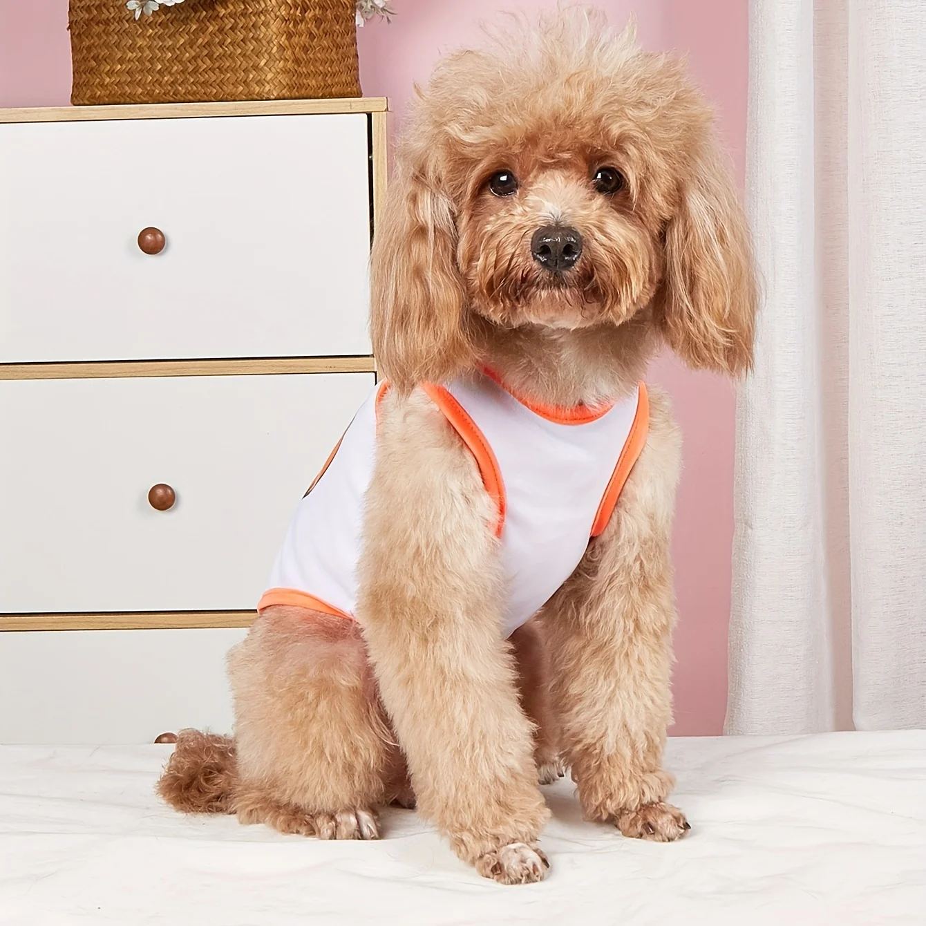 Pet clothes dog cat vest light, breathable and comfortable, white stitching, orange, clothes with prints, simple, generous, fres