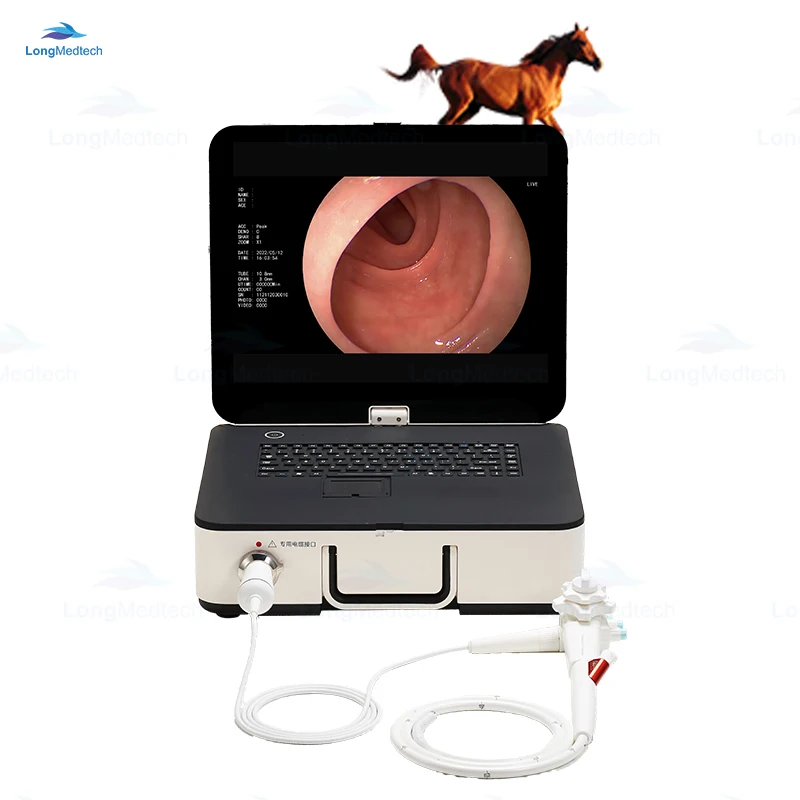Animal Horse Monkey Dolphin Flexible Veterinary Endoscope with Integrated Pump Suction Insufflation and Irrigation