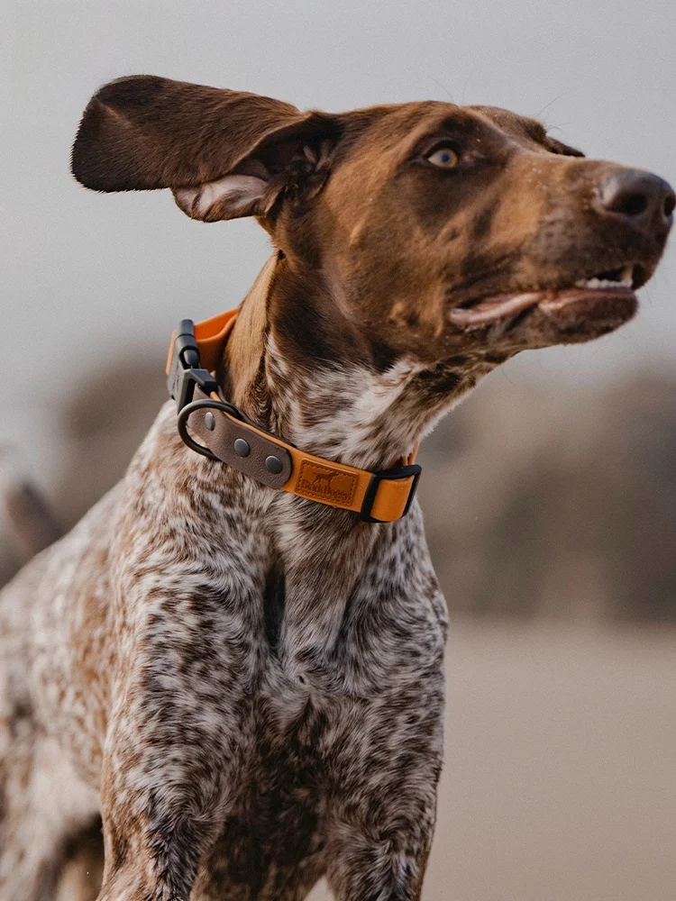 

BlackDoggy VINTAGE Series Dog Leash Retro Patchwork Pet Collar Waterproof Moisture Proof for Outdoor Use Dog Harness