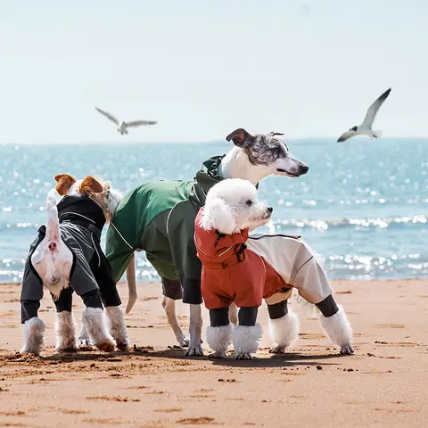 Impermeable para Perros, Chaqueta Impermeable con Capucha, con Orificio para Correa, Correa Reflectante para Perros Pequeños, Medianos y Grandes