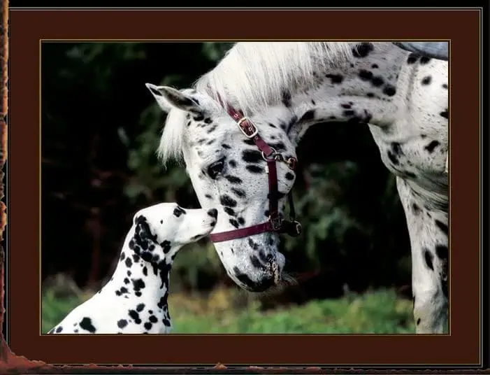 M1,Tymall Rustic Wa… - image