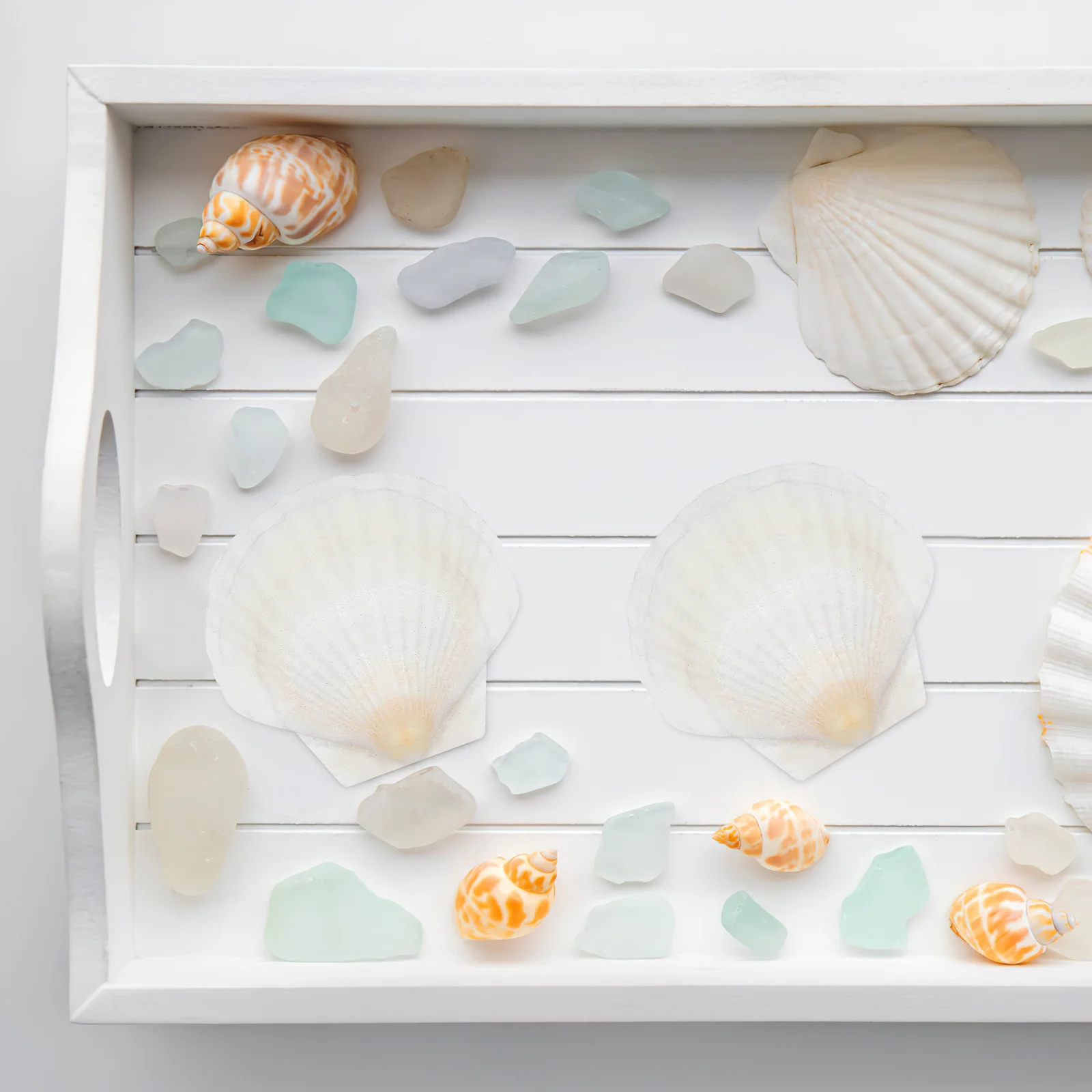 

40Pcs Scallop Shells DIY Sea Shell Decor Natural Versatility Home Ornaments Beach Party Fish Tank Aquarium Landscaping