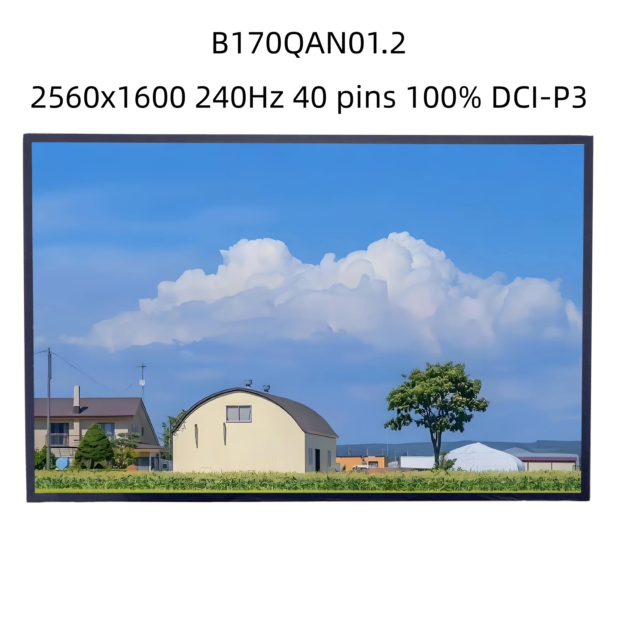 B170QAN01.2 2560x1600 pixel 178PPI IPS 240Hz Replacement Display Panel Laptops LCD Screen
