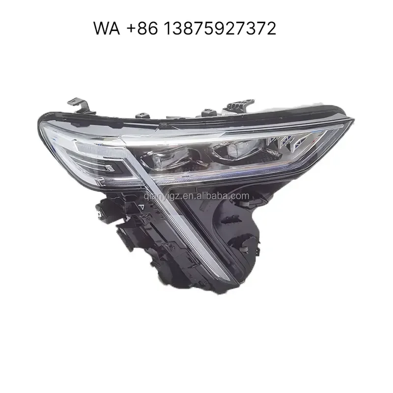 WMWMNU LED Day and Night Running Lights for 2024 Haval Thunder MAX Matrix Headlights Headlight