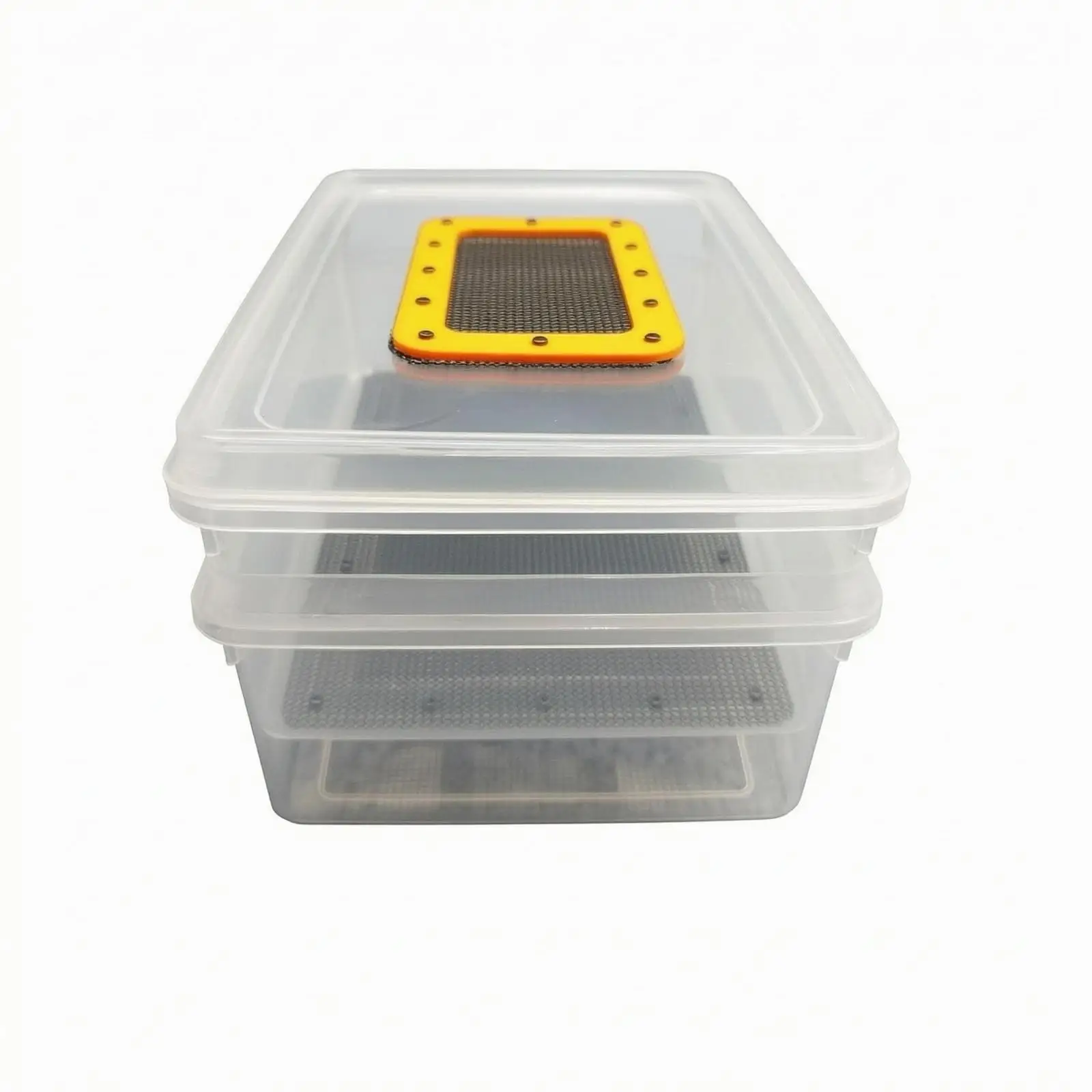 Transparent Breeding Container with Ventilation Mesh Mealworm Rearing Box Stacking Tray for Home Farming