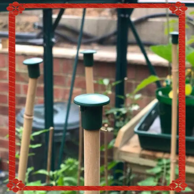 

24-Hour Delivery For Garden Cane Caps 48Pcs Bamboo Stick Eye Protector End Caps Safety Toppers For Garden Farm Plant Support Sti