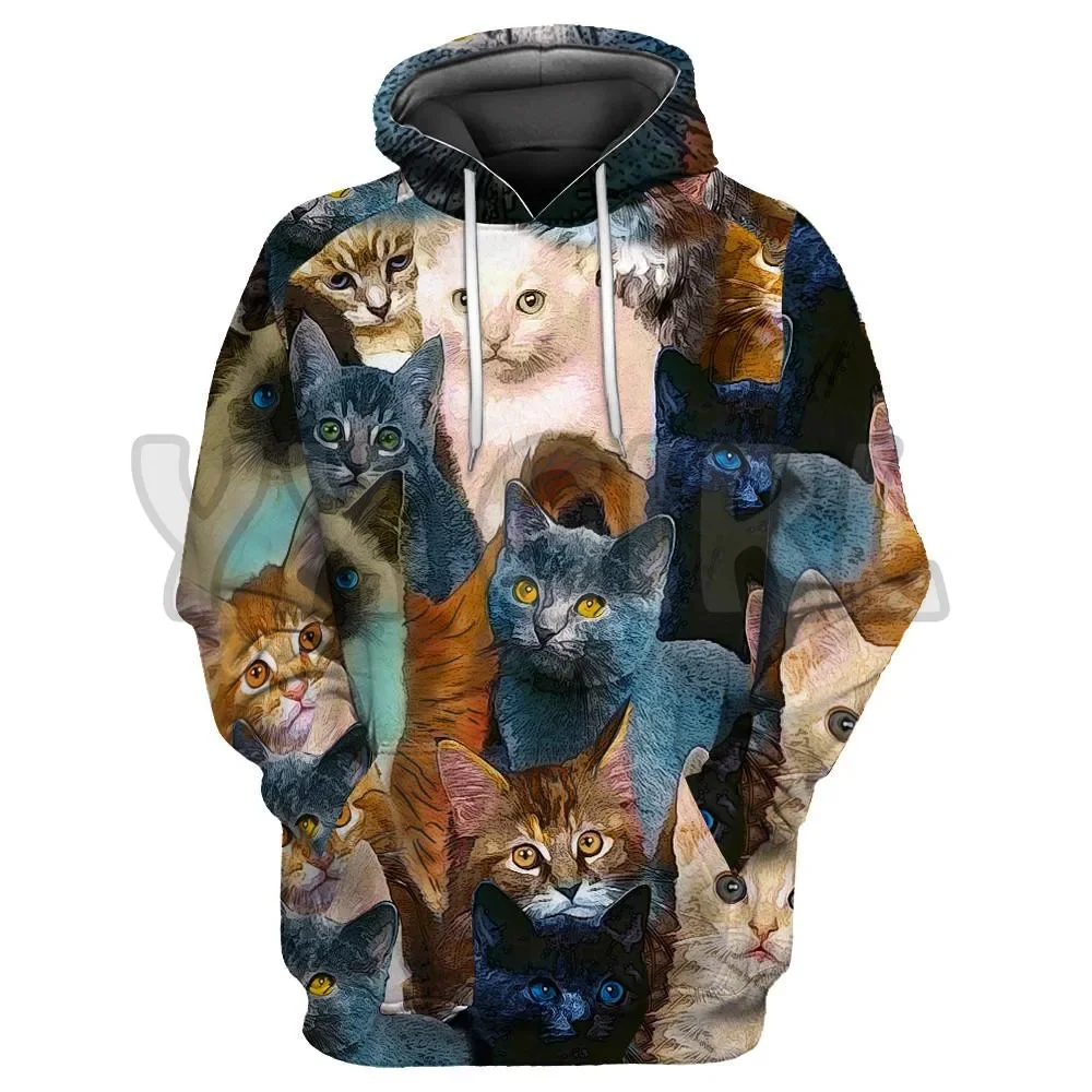Cat Gifts Flower Black Cats 3D Printed Hoodies  Unisex Pullovers Funny Dog Hoodie Casual Street Tracksuit