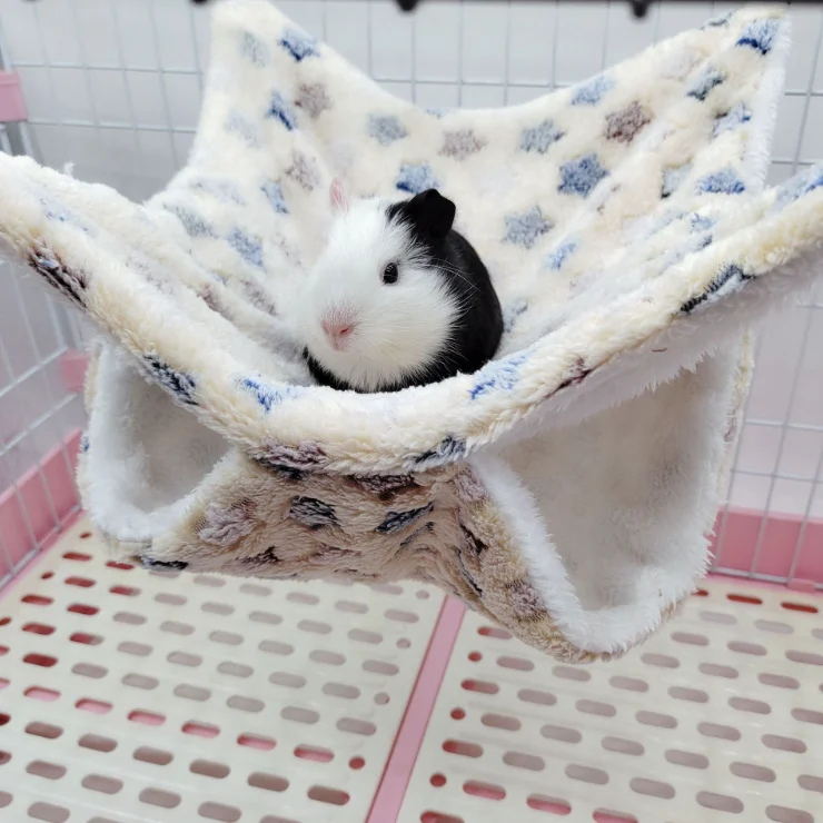 Factory Wholesale Ferret Rat Hammock Guinea Pig Cage Accessories Pet Cage Hanging Bunkbed Hammock for Small Animals