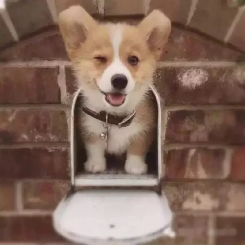 Pneus de camion monstre 90mm, roue hexagonale de 12mm pour TRXS e-revo MJX 16207 16208 SCY 16101 HBX 1/16 RC, pièces de mise à niveau de voiture, 4 pièces