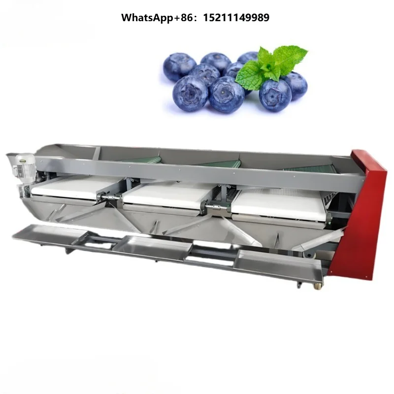 Industrial Blueberry Sorting Machine Fruit Grader Sorter for Berry Processing Plant & Fresh Fruit Packing Line