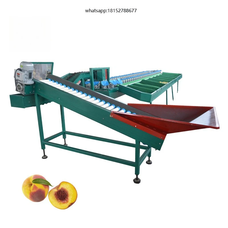 Automatic Fruit Grading Machine Auto Industrial Fruits Weight Sorting Line Machines Equipment Machinery Cheap Price for Sale