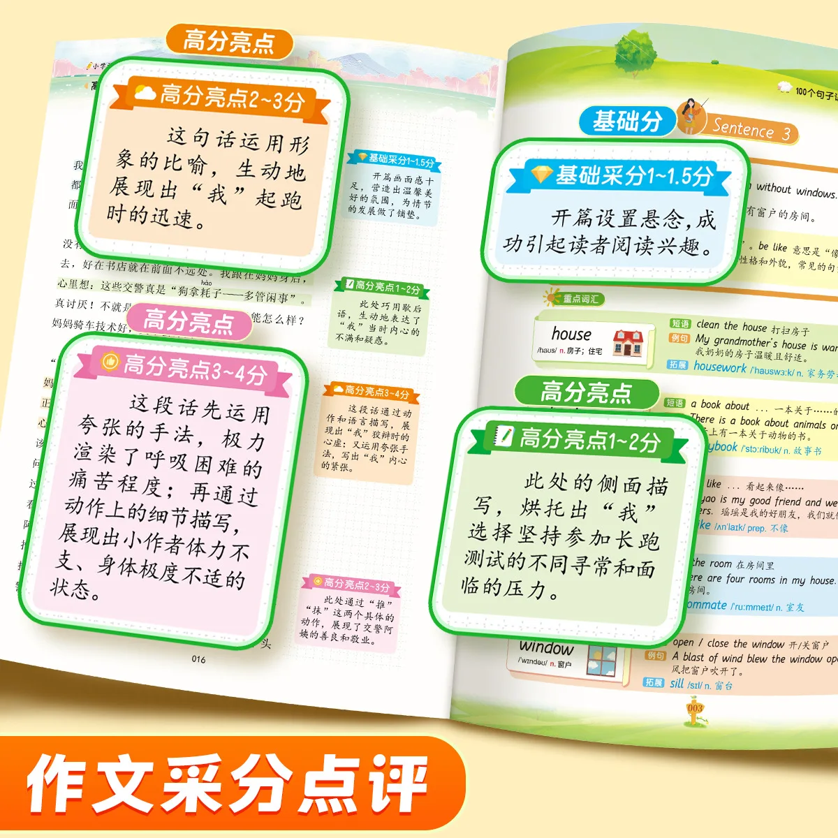 Third Grade Chinese High Score Essay Writing Guide, Elementary School Full Score Model Essay, Vocabulary Accumulation