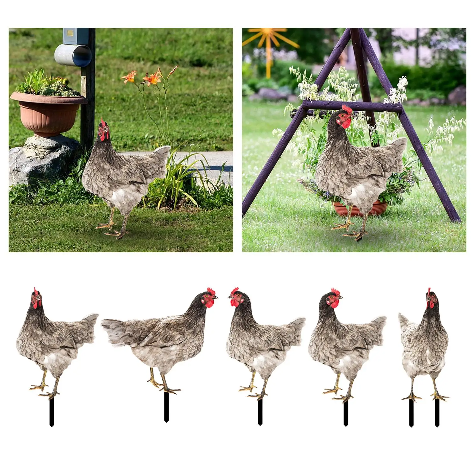 Chicken Garden Decor Outdoor Decoration Gift Festival 2D Plaque Rooster Yard Stake Hen Lawn Ornament for Party Birthday Outside