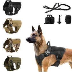 Grand chien militaire SFP pour animaux de compagnie, ensemble de laisse, troupeau de contribuables allemands, chien d'entraînement malinois K9, accessoires pour chiens