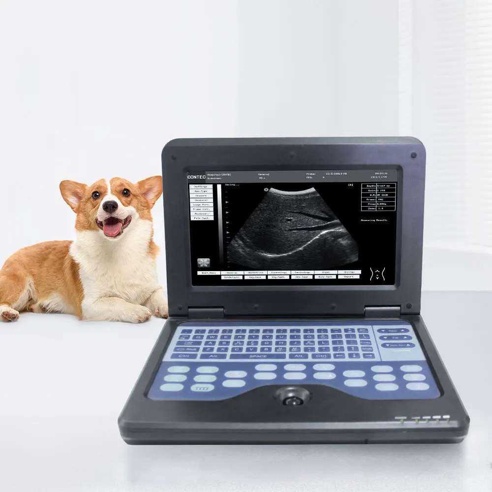 

CONTEC CMS600P2 VET ultrasound veterinary ultrasound equipment usg