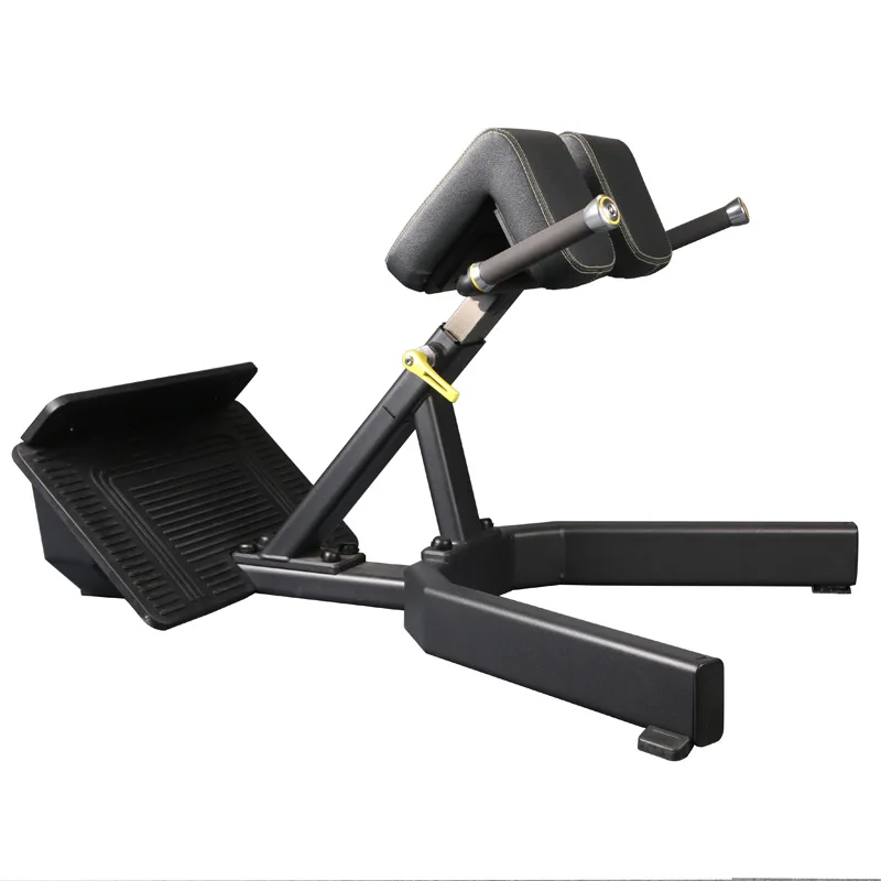 Commercial Home Gym Use Extension Roman Chair Multi-Functional Bench for Full All-in-One Body Workout Adjustable Ab Sit up Bench